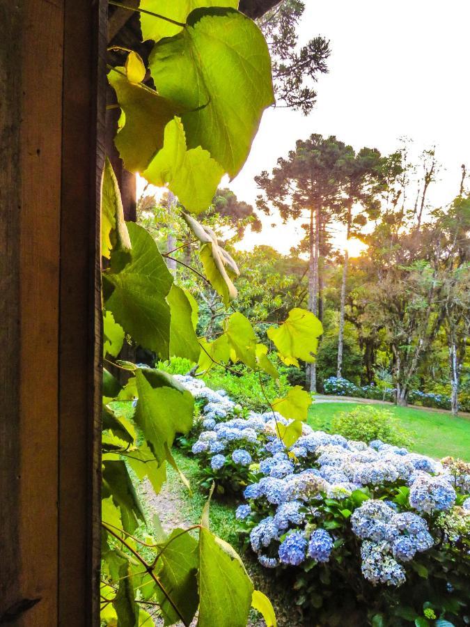Rancho do Lucas - Cabana e Chalé São Bento do Sul Exterior foto