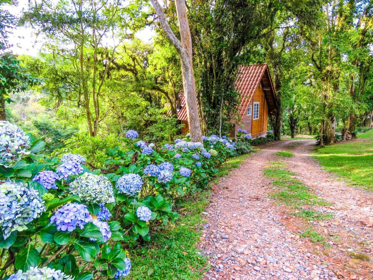 Rancho do Lucas - Cabana e Chalé São Bento do Sul Exterior foto